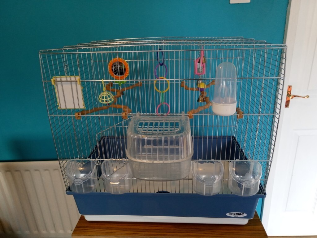 budgie cages gumtree